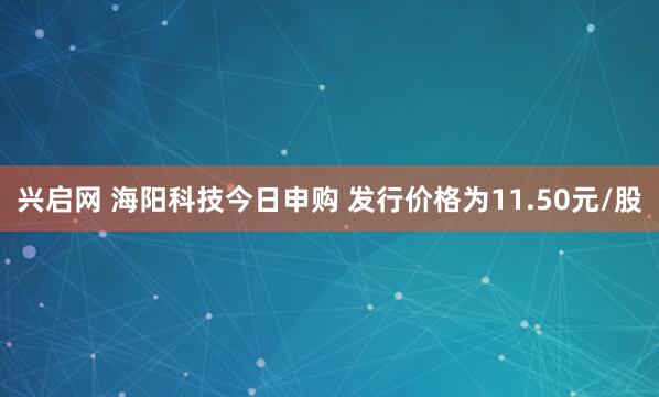 兴启网 海阳科技今日申购 发行价格为11.50元/股