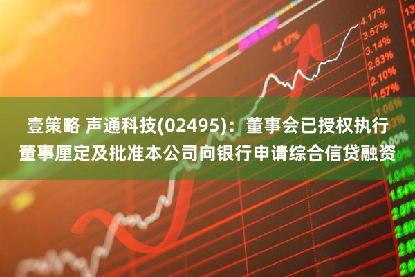 壹策略 声通科技(02495)：董事会已授权执行董事厘定及批准本公司向银行申请综合信贷融资