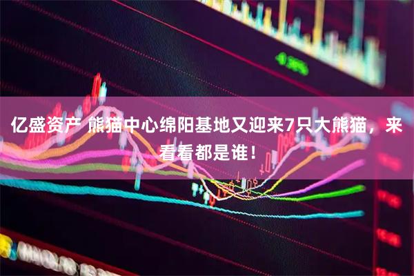 亿盛资产 熊猫中心绵阳基地又迎来7只大熊猫，来看看都是谁！