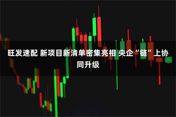 旺发速配 新项目新清单密集亮相 央企“链”上协同升级