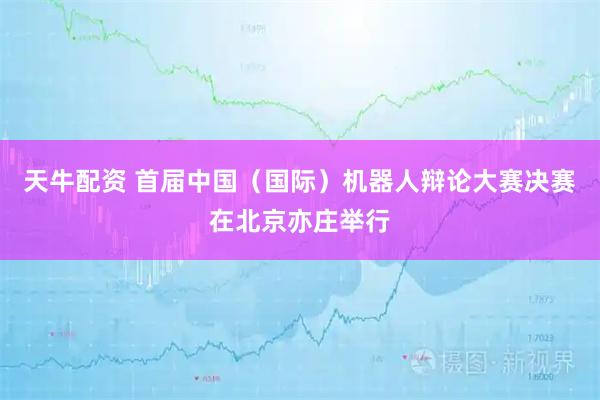 天牛配资 首届中国（国际）机器人辩论大赛决赛在北京亦庄举行