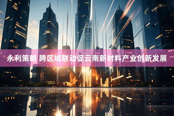 永利策略 跨区域联动促云南新材料产业创新发展