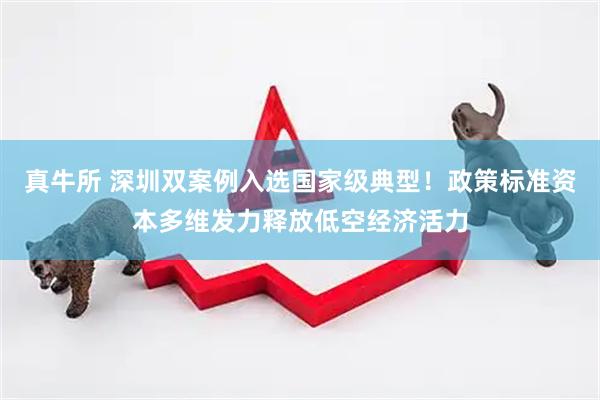 真牛所 深圳双案例入选国家级典型！政策标准资本多维发力释放低空经济活力