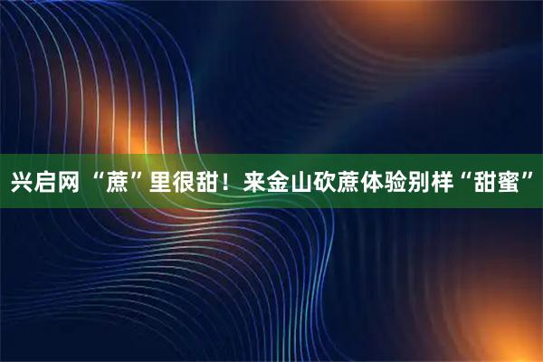 兴启网 “蔗”里很甜！来金山砍蔗体验别样“甜蜜”