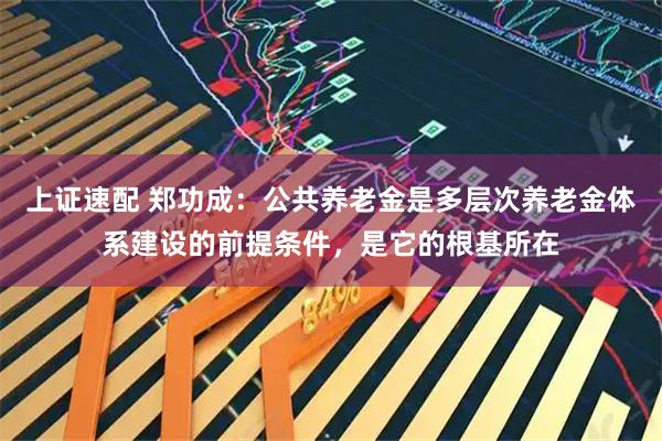 上证速配 郑功成：公共养老金是多层次养老金体系建设的前提条件，是它的根基所在